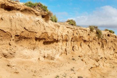 Kumtaşı oluşumları, Fuerteventura Adası, Kanarya Adaları, İspanya, Avrupa. 