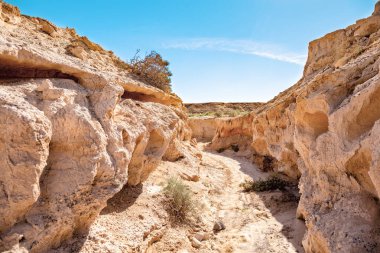 Kum taşı kayaları, Fuerteventura Adası, Kanarya Adaları, İspanya, Avrupa. 