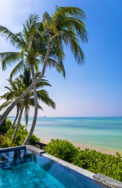 Yüzme havuzu ve palmiye ağaçları, Nathon Sahili, Ko Samui Adası, Güneydoğu Tayland