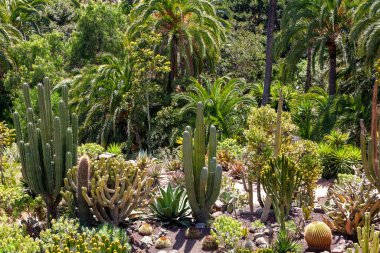 Palmitos Parkı, Ada Gran Kanaryası, Kanarya Adaları, İspanya, Avrupa