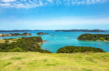 Urupukapuka Adası, Adalar Körfezi, Kuzey Adası, Yeni Zelanda, Okyanusya. 