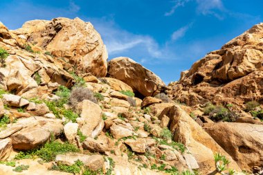 Barranco del Rodeo 'daki Rocky manzarası, Fuerteventura, Kanarya Adaları, İspanya, Avrupa. 
