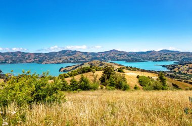 Akaroa Körfezi, Canterbury, Güney Adası, Yeni Zelanda, Okyanusya