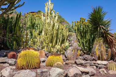 Palmitos Parkı, Ada Gran Kanaryası, Kanarya Adaları, İspanya, Avrupa