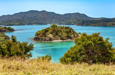 Yuvarlak Ada, Urupukapuka Adası, Adalar Körfezi, Kuzey Adası, Yeni Zelanda, Okyanusya. 