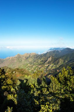 Anaga Ulusal Parkı 'ndaki dağ manzarası, Tenerife Adası, Kanarya Adaları, İspanya, Avrupa