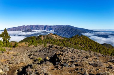 Volkanik manzara boyunca Ruta de los Volcanes, Cumbre Vieja, La Palma Adası, Kanarya Adaları, İspanya, Avrupa