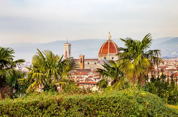 Floransa, Toskana, İtalya ve Avrupa Tarihi Merkezi.