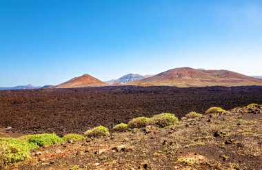 Volkanik manzara, Lanzarote Adası, Kanarya Adaları, İspanya, Avrupa