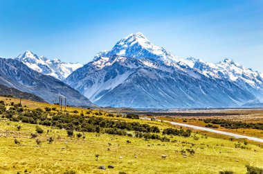 Cook Dağı Yolu, Canterbury, Güney Adası, Yeni Zelanda, Okyanusya