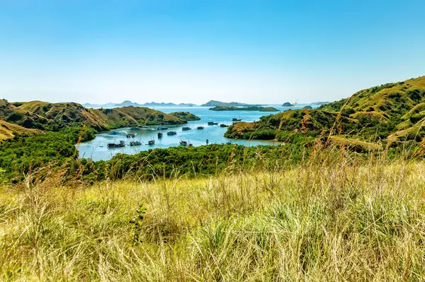 Rinca Adası, Komodo Ulusal Parkı, Flores, Endonezya, Güneydoğu Asya
