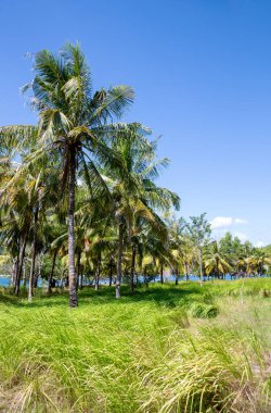 Ada Gili Goleng, Lombok, Endonezya, Güneydoğu Asya
