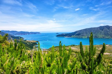 Croisilles Limanı, Marlborough Sesleri, Güney Adası, Yeni Zelanda, Okyanus