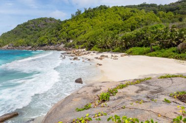 Capucins Plajı, Mahe Adası, Seyşeller Cumhuriyeti