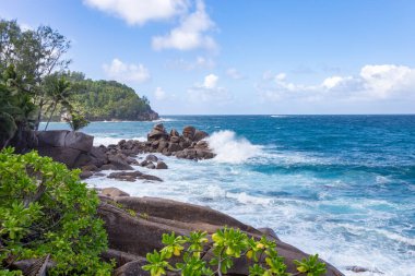 Anse Bazarca Plajı, Mahe Adası, Seyşeller Cumhuriyeti