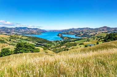 Akaroa Körfezi, Canterbury, Güney Adası, Yeni Zelanda, Okyanusya
