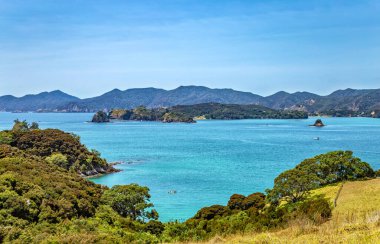 Urupukapuka Adası, Adalar Körfezi, Kuzey Adası, Yeni Zelanda, Okyanusya. 