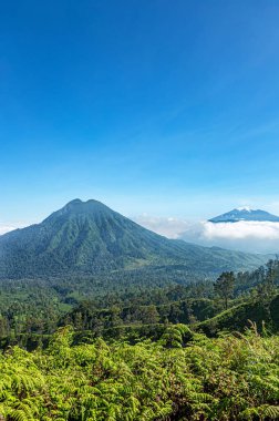 Mounts Ranti ve Raung, Island Java, Endonezya, Güneydoğu Asya