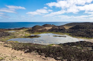 Tepe manzarasında küçük bir gölet, Ada de Lobos, Kanarya Adaları, İspanya, Avrupa. 