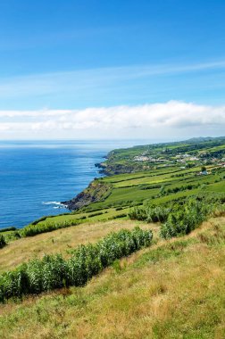 Batı kıyısı Feteiras, Sao Miguel Adası, Azores, Portekiz, Avrupa