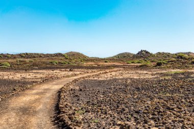 Volkanik arazide yürüyüş izleri, Ada de Lobos, Kanarya Adaları, İspanya, Avrupa. 