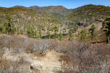 Mulato Gölü, Gran Kanaryası, Kanarya Adaları, İspanya, Avrupa