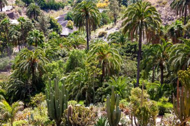 Palmitos Parkı, Ada Gran Kanaryası, Kanarya Adaları, İspanya, Avrupa