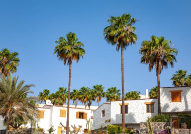 Mimarlık, Playa del Ingles, Ada Büyük Kanarya Adaları, Kanarya Adaları, İspanya, Avrupa