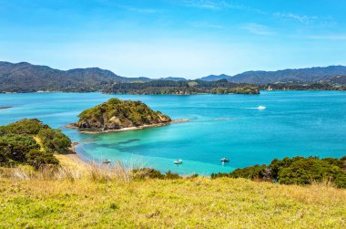 Yuvarlak Ada, Urupukapuka Adası, Adalar Körfezi, Kuzey Adası, Yeni Zelanda, Okyanusya. 