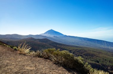 Volkan El Teide, Tenerife Adası, Kanarya Adaları, İspanya, Avrupa