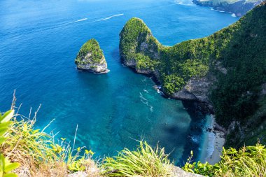 Kaya oluşumu T-Rex, Kelingking Sahili, Ada Nusa Penida, Endonezya, Güneydoğu Asya.