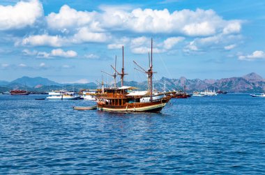 Geleneksel Phinisi yelkenli gemileri, Labuan Bajo, Flores Adası, Endonezya