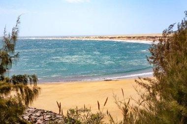 Playa del Ingles Plajı, Gran Kanaryası, Kanarya Adaları, İspanya, Avrupa