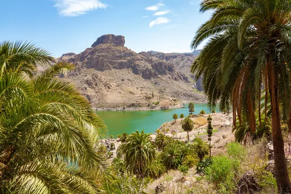 Soria Gölü, Büyük Kanarya Adası, Kanarya Adaları, İspanya, Avrupa