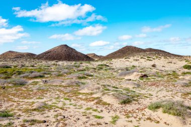 Volkanik tepe manzarası, Lobos Adası, Kanarya Adaları, İspanya, Avrupa. 