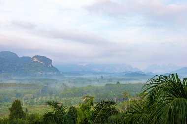 Sabah sisli vadi, Khao Sok Ulusal Parkı, Surat Thani, Güneydoğu Tayland, Güneydoğu Asya.