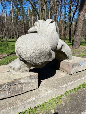 Ukrayna, Cherkasy 'deki bir parkta taş heykel..