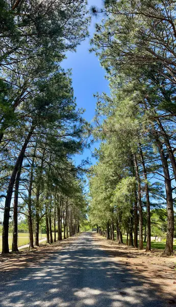 Parkın güzel manzarası