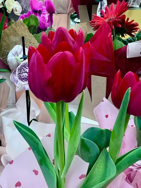 Piyasadaki güzel çiçekler