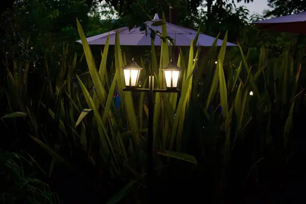 Şehrin güzel gece manzarası