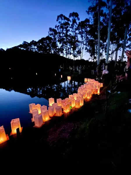 En güzel gün batımının gece manzarası.