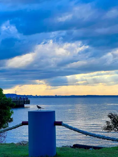 Sakin bir su kütlesinin yanında beyaz bir direğe tünemiş yalnız bir kuşun olduğu sakin bir sahne. Arkaplan dramatik mavi gökyüzü ile süslenir, bulutların arasından süzülen güneş ışınlarıyla aydınlatılır, suyun üzerinde yansımalar oluşur # 39;