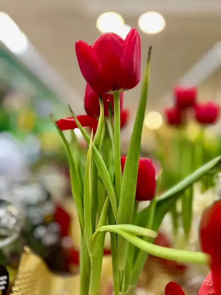 Çiçekli bir ortamda güzel bir kırmızı lale aranjmanı beliriyor. Canlı çiçekler ve yemyeşil yemyeşil parlak bir ortamda tazelik ve neşe taşır..
