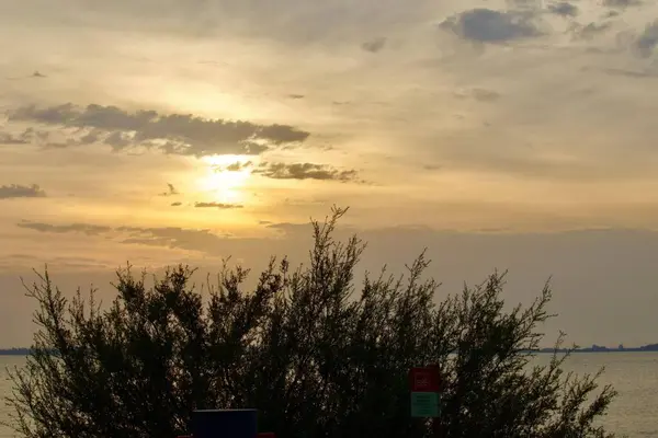 Alacakaranlıkta güzel bir sahne, güneşin ufukta yavaşça battığı, bulutlu gökyüzünde sıcak renklerden oluşan bir manzara yaratıyor. Ön plandaki bir çalılığın silueti durgun gölün arka planına karşı duruyor, bir huzur hissi veriyor. 