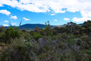 Tasman Kemeri, Şeytan 'ın Mutfağı ve Rüzgar Deliği, Tazmanya, Hobart, Avustralya 