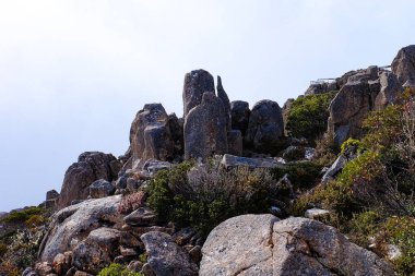 Kaya oluşumu, taş ve Pinnacle Gözlem Barınağı ve Boardwalk, Wellington Dağı, Tazmanya, Hobart, Avustralya, Dağın tepesi 