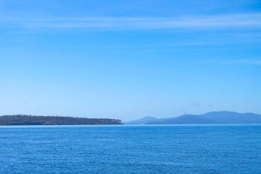 Boyun, Bruny Adası, Tazmanya Vahşi Doğası, Avustralya 