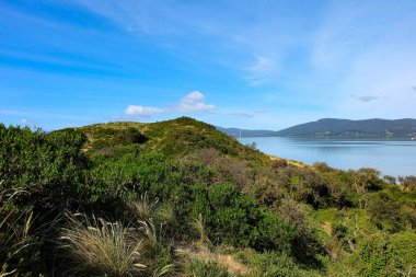 Boyun, Bruny Adası, Tazmanya Vahşi Doğası, Avustralya 