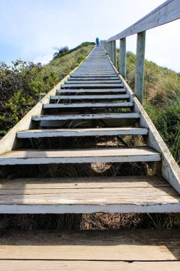 Boyun, Bruny Adası, Tazmanya Vahşi Doğası, Avustralya 