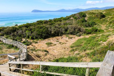 Boyun, Bruny Adası, Tazmanya Vahşi Doğası, Avustralya 